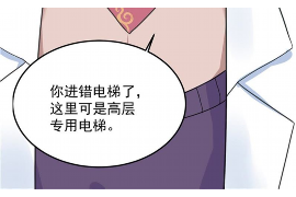 塔城企业清欠服务